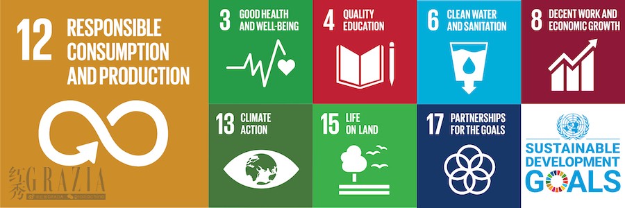 8.联合国可持续发展目标SDGs于本次论坛呈现项目.jpg