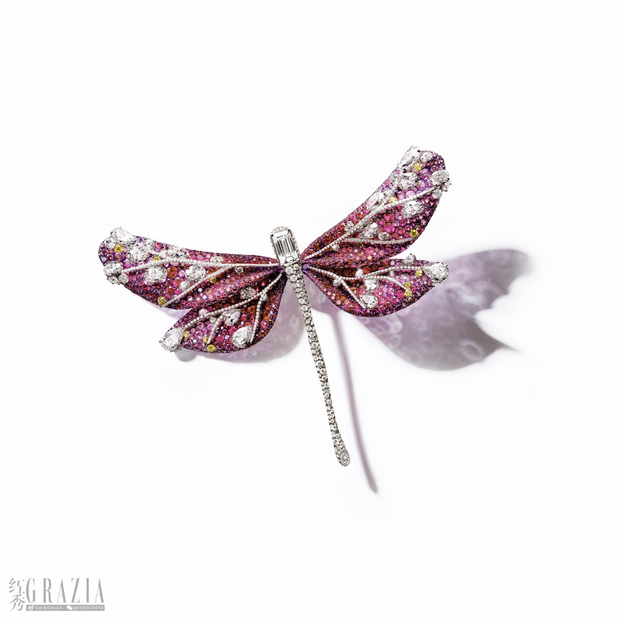 CINDY CHAO 艺术珠宝20周年系列蜻蜓胸针02.jpg