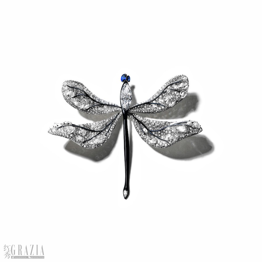 CINDY CHAO 艺术珠宝20周年系列蜻蜓胸针01.jpg