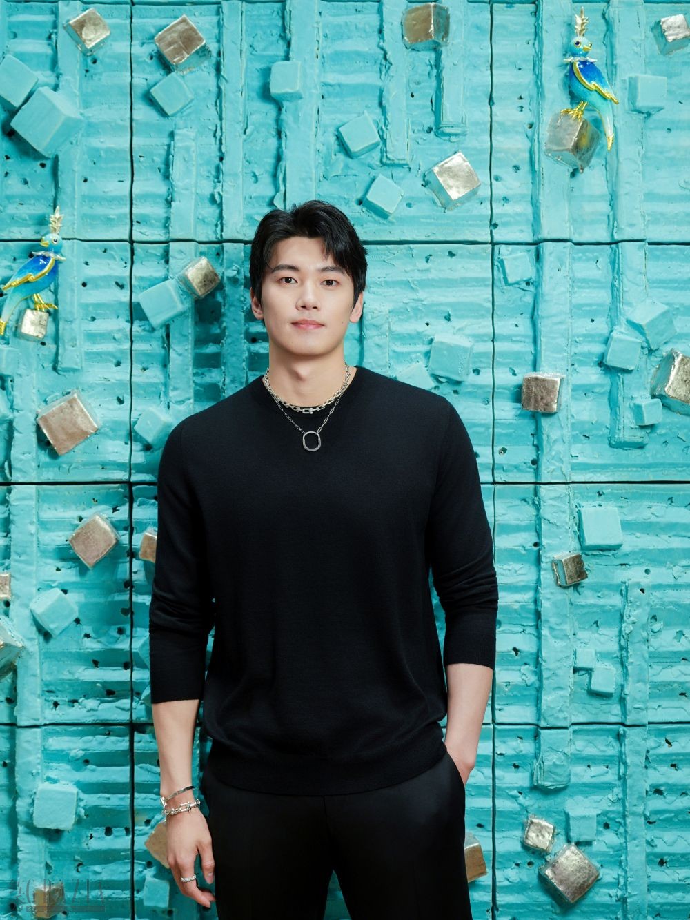 tekax20260202162042.jpg 世界游泳冠军、品牌挚友汪顺 (2).jpg