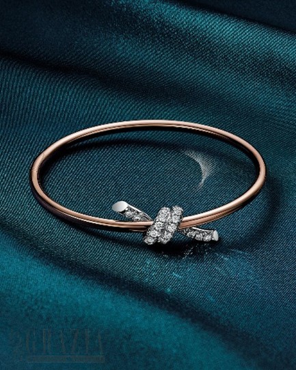 vevvk20260314132305.jpg 图片28.jpg