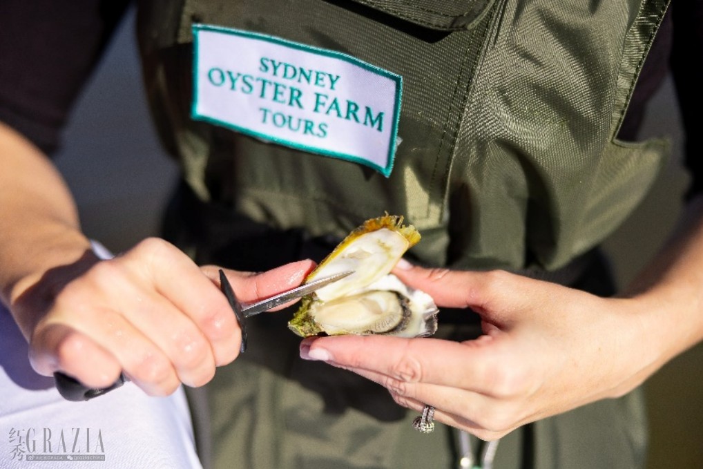 ayebz20260409165134.png 澳大利亚秋季时令正当时,邂逅特色节庆与多元风味5.png