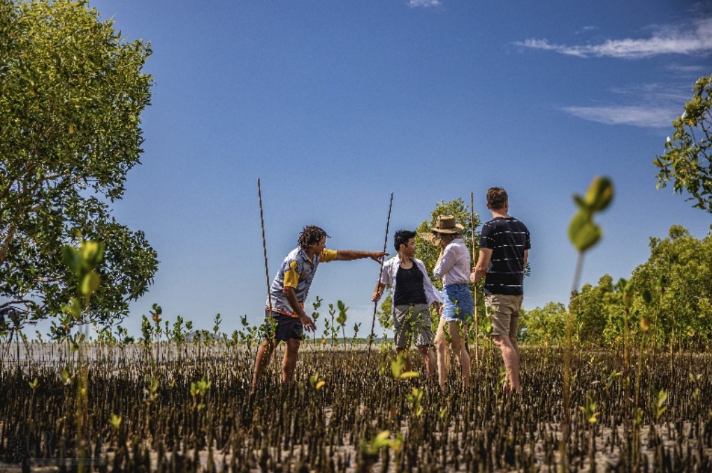 ezbut20260409165152.png 澳大利亚秋季时令正当时,邂逅特色节庆与多元风味7.png
