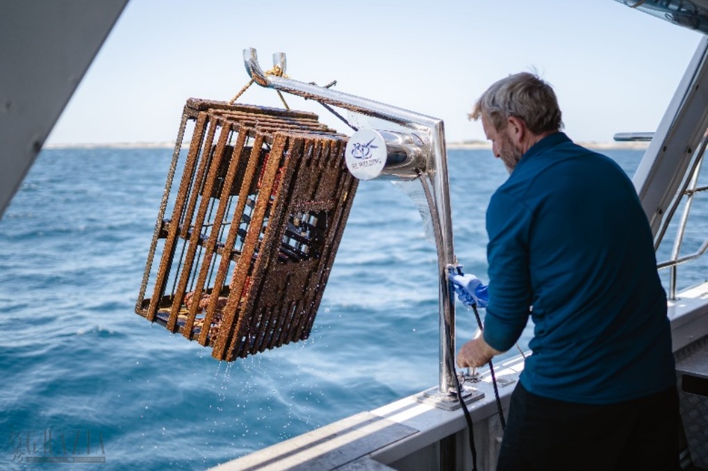 owaqo20260409165146.png 澳大利亚秋季时令正当时,邂逅特色节庆与多元风味6.png