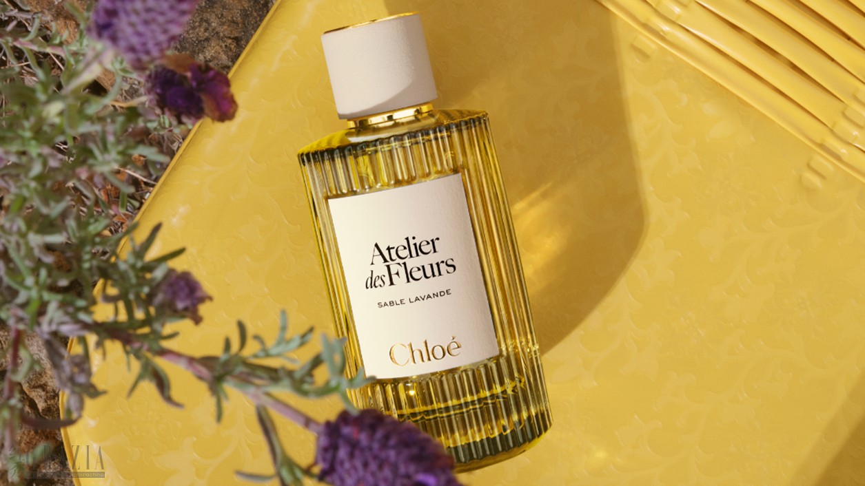 wtwyu20260413120450.png 图片12.png