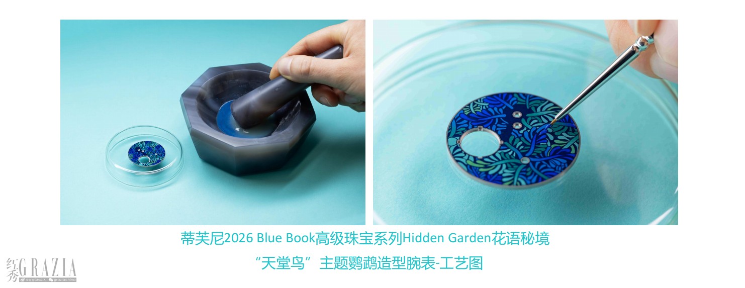 蒂芙尼发布2026 Blue Book高级珠宝系列Hidden Garden花语秘境3.png