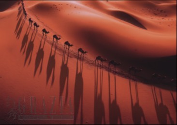 tywzj20260717181028.png 6.png