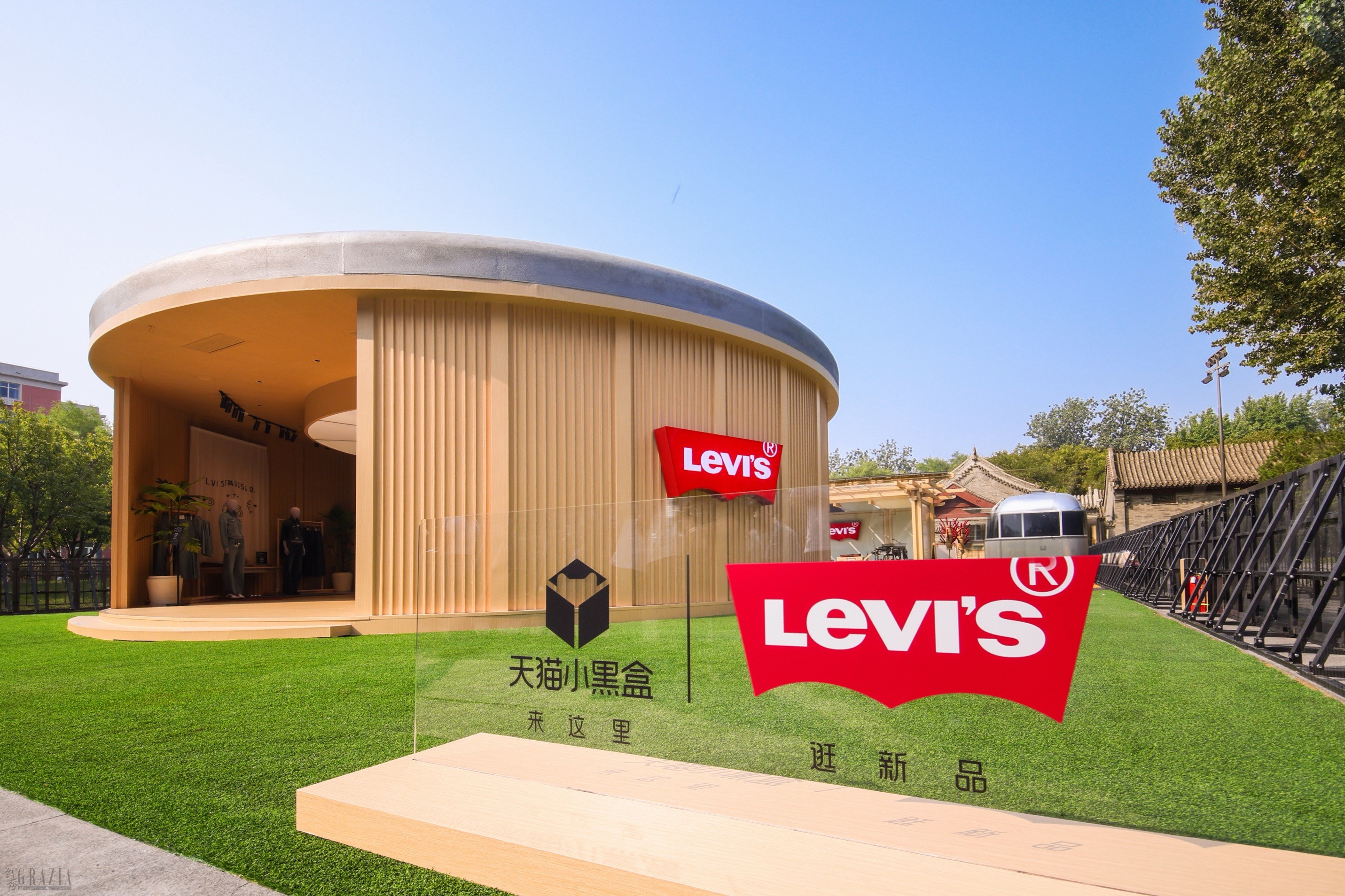 6.jpeg