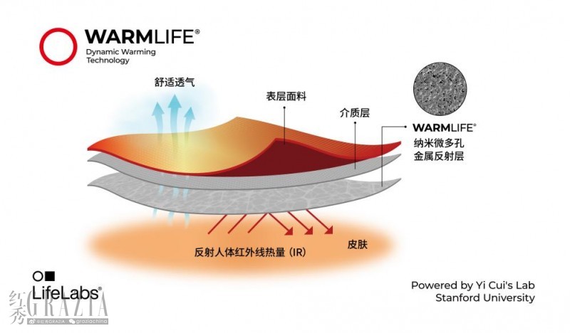 lnset20251219034238.jpg 5.jpg