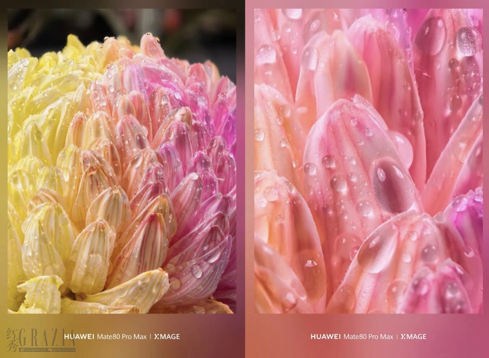 截屏2025-12-31 14.08.18.png