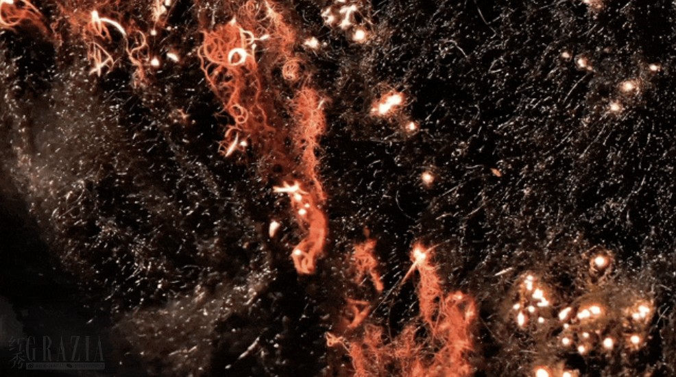 截屏2025-12-31 14.08.38.png