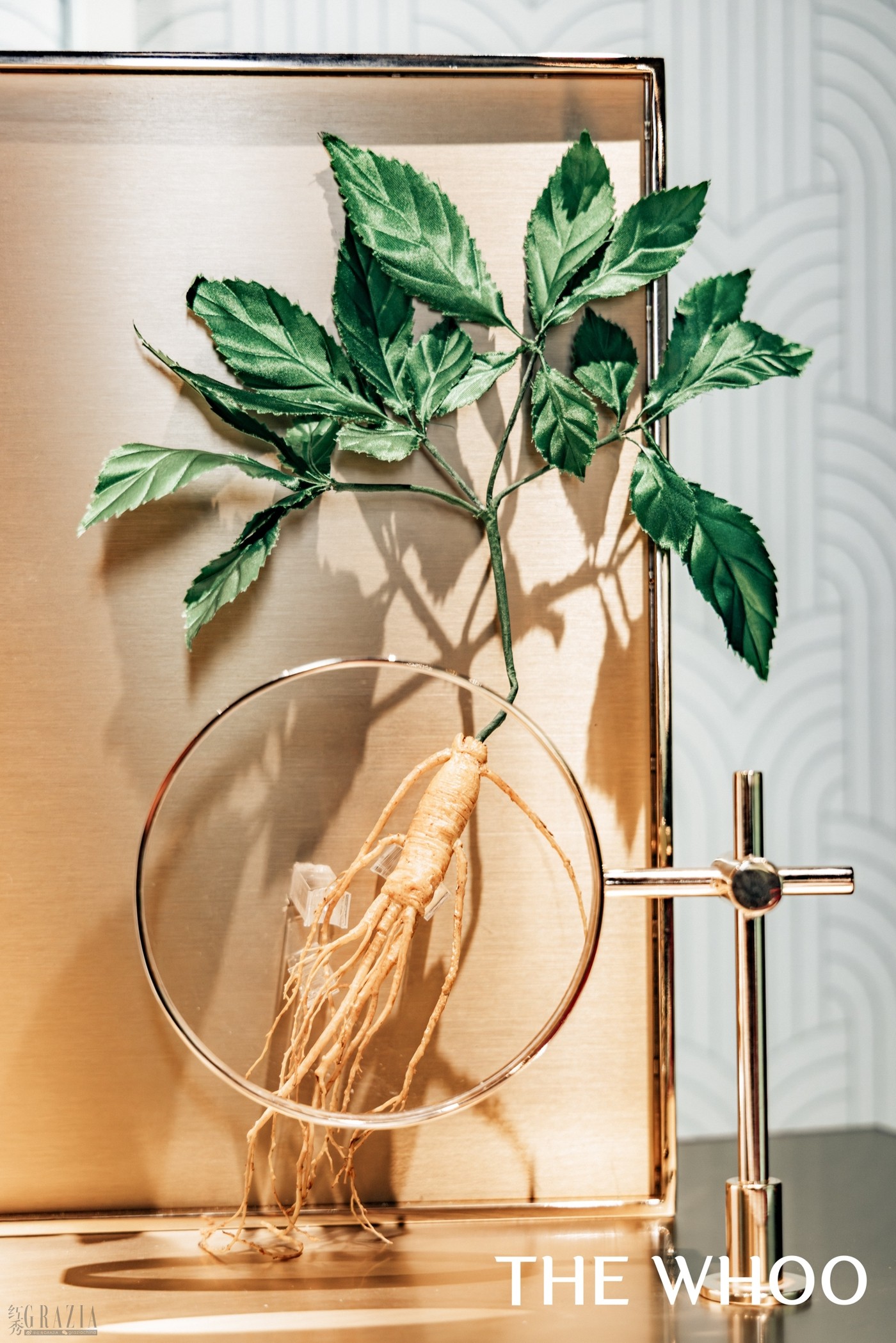 jrzyg20260127130442.jpg 9-1.jpg