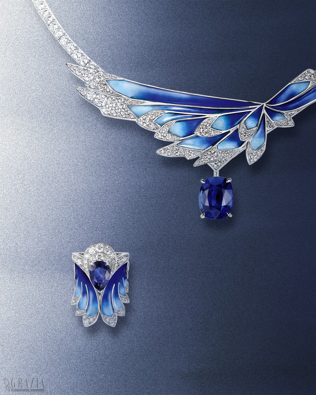 kdbgs20260127145250.jpg 1.jpg