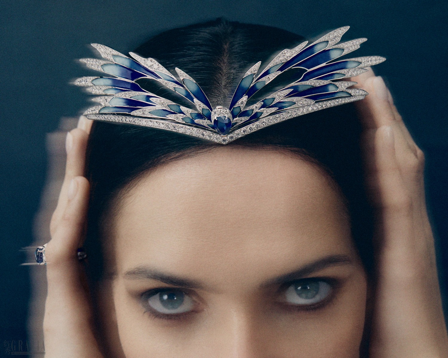 ybdab20260127145416.jpg 2-2.jpg