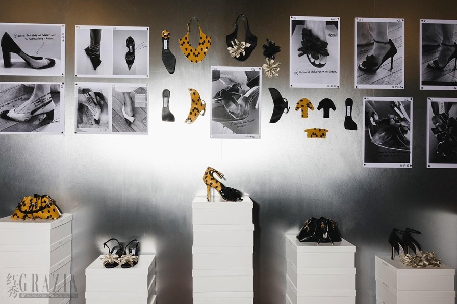 pvizo20260228172504.jpeg 屏幕截图_28-2-2026_171733_.jpeg