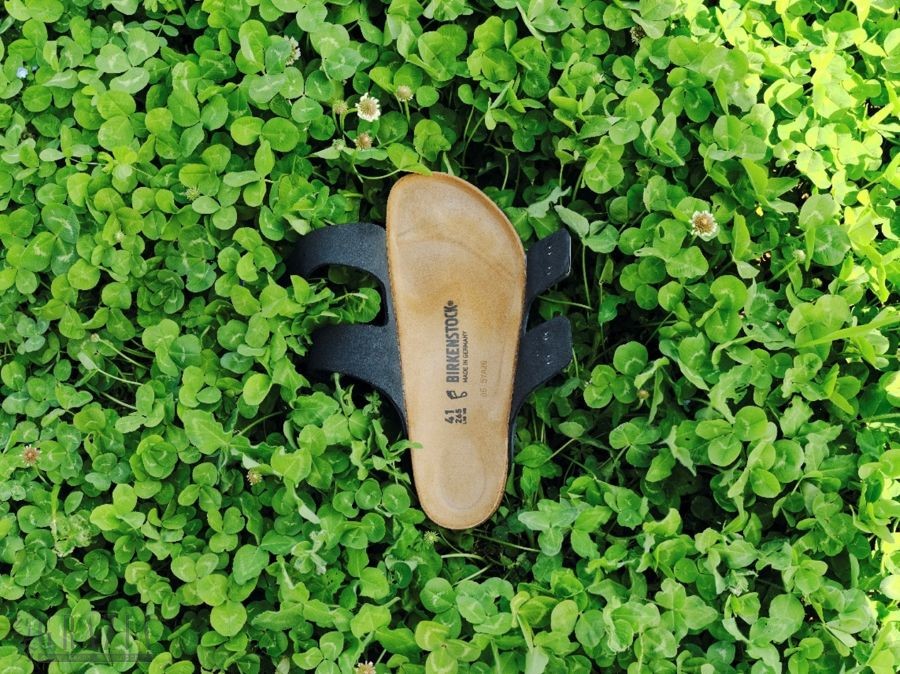 peesp20260414111828.jpg 图片6.jpg