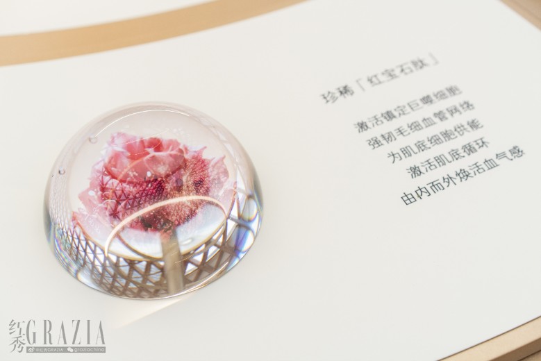 图片12.png