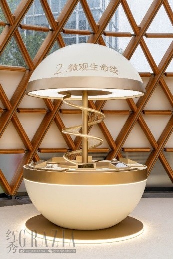 图片11.jpg