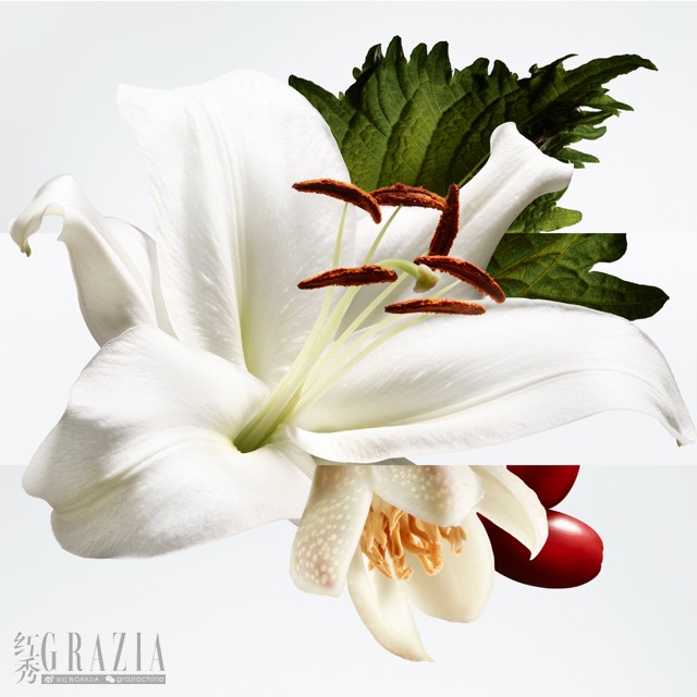 爱马仕巴赫尼绽放由心(Barénia Pleine Fleur)香水 © Jean-Marie Binet中.png