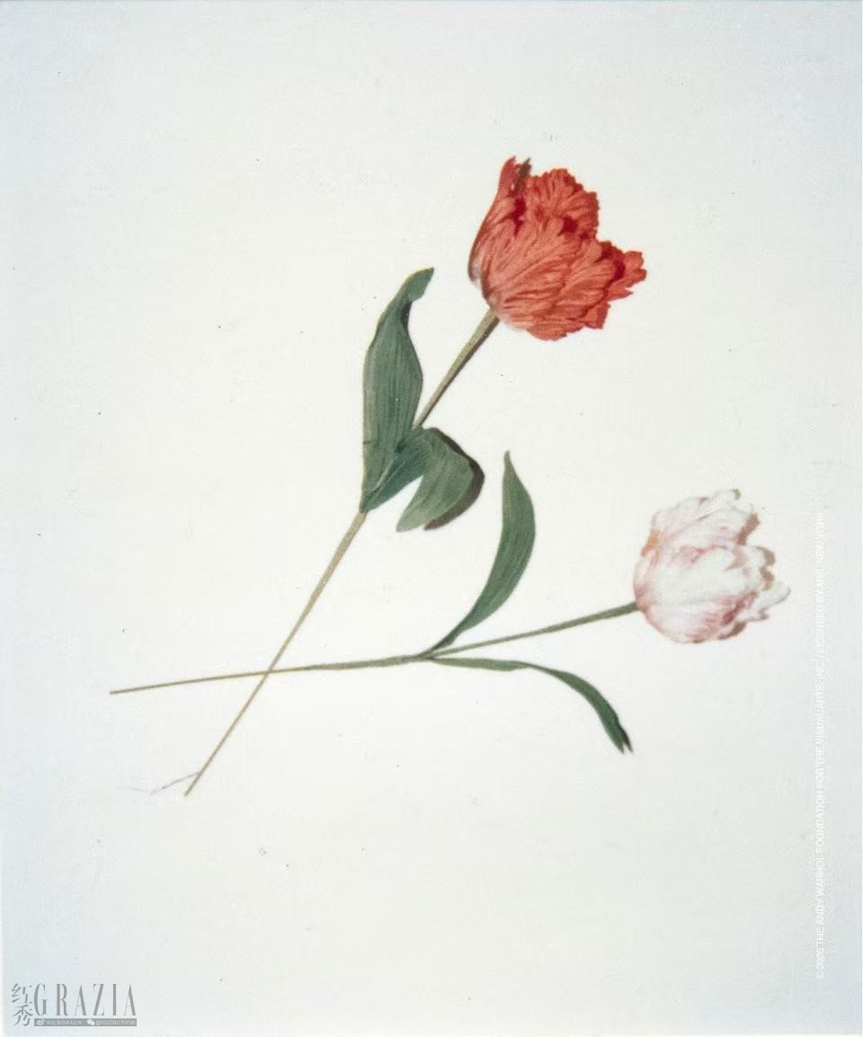 a5f05cb03647967582c926d98b2825af.jpg